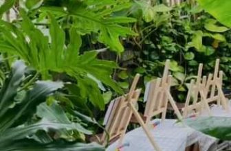 [☕️🇻🇳] BỤI Coffee Chill – Plants 🥤 Top1Coffee ☕️ Những ngày đầu tiên
, shares-0✔️ , likes-0❤️️ , date-2024-01-20 13:22:04🇻🇳🇻🇳🇻🇳📰🆕