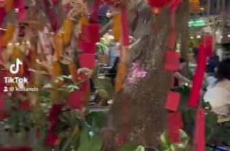 [☕️🇻🇳] Koilands Coffee 🥤 Top1Coffee ☕️  , shares-0✔️ , likes-7❤️️ , date-2024-02-02 12:50:12🇻🇳🇻🇳🇻🇳📰🆕