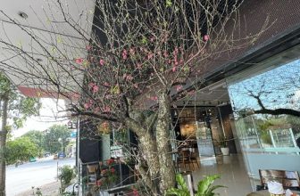 [☕️🇻🇳] Lion Coffee Nam Định 🥤 Top1Coffee ☕️  , shares-0✔️ , likes-15❤️️ , date-2024-01-26 04:00:59🇻🇳🇻🇳🇻🇳📰🆕