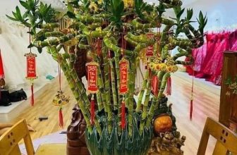 [🆕🇻🇳] Hiền Vinh Hvkids  (Xưởng may HV Kids) 😎❤️️⭐️ Sáng mai e trả hàng nhé
CÂY TRÚC XOẮN  #159k/ bó 10 cây nhà e loại to cao 80 cmGần tết rồi nhà nào cũng có nhu cầu cắm trúc , shares-0✔️ , likes-8❤️️ , date-2024-01-27 12:55:38🇻🇳🇻🇳🇻🇳📰🆕