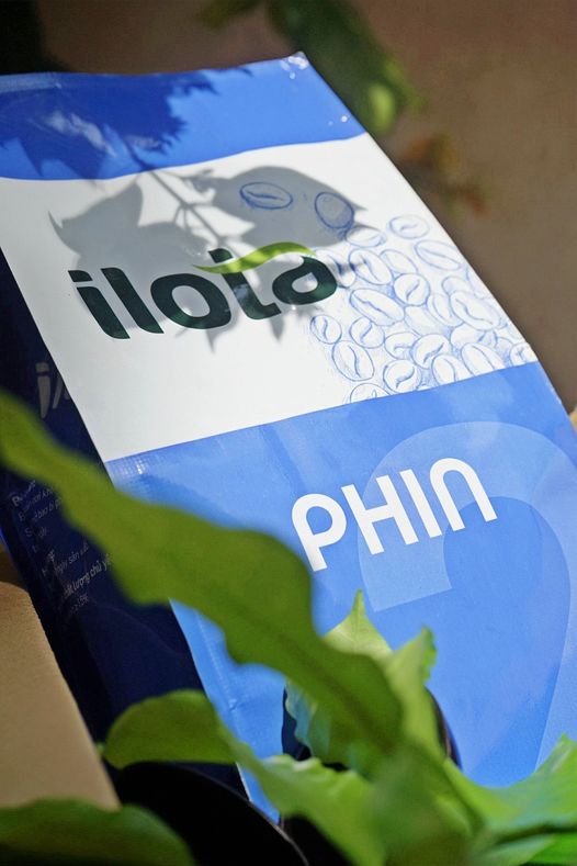 [☕️🇻🇳] ILOTA Coffee Roasters – Cafe rang xay 🥤 Top1Coffee ☕️ [𝑪𝒉𝒂̂𝒖 𝑨̂𝒖 – 𝒕𝒉𝒊̣ 𝒕𝒓𝒖̛𝒐̛̀𝒏𝒈 𝒕𝒊𝒆̂𝒖 𝒕𝒉𝒖̣ 𝒄𝒂̀ 𝒑𝒉𝒆̂ 𝑽𝒊𝒆̣̂𝒕 𝑵𝒂𝒎 𝒍𝒐̛́𝒏 𝒏𝒉𝒂̂́𝒕]

– Châu Âu hiện là thị trường tiêu thụ cà phê lớn nhất  , shares-0✔️ , likes-12❤️️ , date-2024-01-27 12:14:05🇻🇳🇻🇳🇻🇳📰🆕