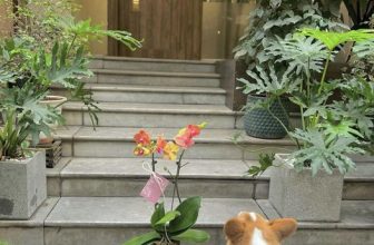 [☕️🇻🇳] Charm Coffee 🥤 Top1Coffee ☕️ Lên đồ đi uống cà phê thôi sen ơi …
Charm Coffee : ngõ 20 Láng Hạ, Đống Đa,HN
Opening hours: 07 am- 22h00 pm
Availab , shares-0✔️ , likes-18❤️️ , date-2024-01-25 10:43:34🇻🇳🇻🇳🇻🇳📰🆕