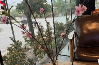 [☕️🇻🇳] Lion Coffee Nam Định 🥤 Top1Coffee ☕️ Năng lượng của ngày mới nằm trong một ly cà phê!
, shares-0✔️ , likes-10❤️️ , date-2024-01-27 02:52:24🇻🇳🇻🇳🇻🇳📰🆕