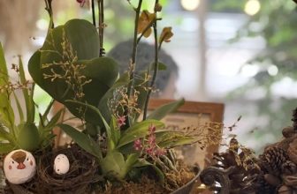 [☕️🇻🇳] Charm Coffee 🥤 Top1Coffee ☕️ Xuân đất trời xuân tự nhiên
Xuân cho tươi mới muộn phiền quên đi
Charm Coffee : ngõ 20 Láng Hạ, Đống Đa,HN
Opening hours , shares-0✔️ , likes-7❤️️ , date-2024-01-28 10:43:33🇻🇳🇻🇳🇻🇳📰🆕