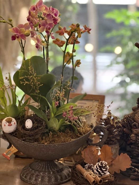 [☕️🇻🇳] Charm Coffee 🥤 Top1Coffee ☕️ Xuân đất trời xuân tự nhiên
 Xuân cho tươi mới muộn phiền quên đi 
Charm Coffee : ngõ 20 Láng Hạ, Đống Đa,HN
      Opening hours , shares-0✔️ , likes-7❤️️ , date-2024-01-28 10:43:33🇻🇳🇻🇳🇻🇳📰🆕