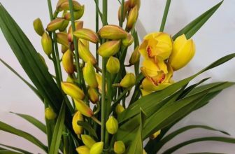 [🆕🇻🇳] Hiền Vinh Hvkids  (Xưởng may HV Kids) 😎❤️️⭐️ Về sẵn hàng
DD𝗜̣𝗔𝗟𝗔𝗡 chiều e về tiếp giá cực đẹp
𝗟𝗮𝗻 𝗻𝗮̀𝘆 𝗸𝗼 𝗰𝗵𝗼̛𝗶 𝘁𝗵𝗶̀ 𝗟𝗮𝗻 𝗻𝗮̀𝗼 𝗺𝗼̛́𝗶 𝗰𝗵𝗼̛𝗶
Đ𝗶̣𝗮 𝗟𝗮𝗻 𝗻𝗮̀𝘆 𝗺𝗮̀ 𝗰𝗵𝗼̛𝗶 𝘁𝗲̂́𝘁 𝘁𝗵 , shares-0✔️ , likes-9❤️️ , date-2024-01-27 12:51:37🇻🇳🇻🇳🇻🇳📰🆕