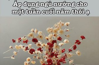 [☕️🇻🇳] Hạ An Corner – Trà – Bánh – Cafe – Piano 🥤 Top1Coffee ☕️ 𝐌𝐨̛̉ 𝐜𝐮̛̉𝐚 𝐥𝐮́𝐜 𝟗:𝟎𝟎 𝐀𝐌 𝐭𝐫𝐨𝐧𝐠 𝐧𝐠𝐚̀𝐲 𝟐𝟔/𝟏 – 𝟑/𝟐
Cuối năm cho Hạ An ngủ nướng một chút nhé.
Giờ mở cửa thay đổi thành 9 giờ sán , shares-0✔️ , likes-19❤️️ , date-2024-01-28 14:58:39🇻🇳🇻🇳🇻🇳📰🆕