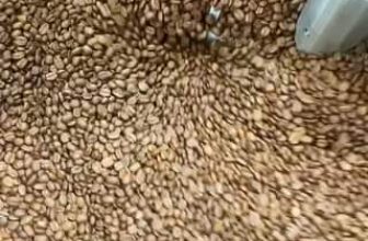 [☕️🇻🇳] ILOTA Coffee Roasters – Cafe rang xay 🥤 Top1Coffee ☕️ Khởi động đầu tuần với những mẻ cà rang thơm nức
#ilota #caphenguyenchat #coffee
, shares-0✔️ , likes-0❤️️ , date-2024-03-11 12:00:49🇻🇳🇻🇳🇻🇳📰🆕