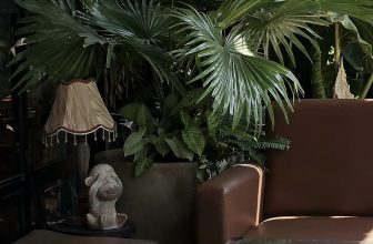 [☕️🇻🇳] 𝐋𝐚 𝐑𝐞̂𝐯𝐞𝐮𝐬𝐞🥤 Top1Coffee ☕️ đi qua trăm bể mơ, và rồi nhất định em sẽ tìm được người tử tế với em bằng cả tấm lòng …
, shares-2✔️ , likes-81❤️️ , date-2024-02-02 07:45:36🇻🇳🇻🇳🇻🇳📰🆕