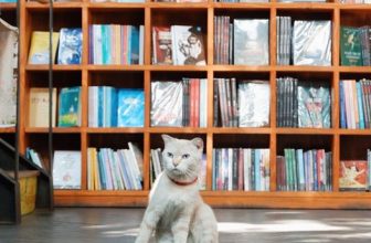 [☕️🇻🇳] Nhã Nam Books N’ Coffee 🥤 Top1Coffee ☕️ “Tự nhiên đang yên lành, thì bỗng cái vèo
Tết đến làm lòng em thấy cheo leo” Gương mặt bàng hoàng ngày đưa Ông Công Ông Táo vì  , shares-1✔️ , likes-51❤️️ , date-2024-02-02 07:47:39🇻🇳🇻🇳🇻🇳📰🆕