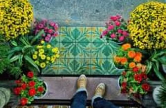 [☕️🇻🇳] NAM house 🥤 Top1Coffee ☕️ lối nhỏ nhà nhỏ
bậc thềm nho nhỏ
chậu bông nho nhỏ, cái Tết xinh xinh …
___________
NAM house
• Open: 6:00 – 23:00
• Ad , shares-0✔️ , likes-37❤️️ , date-2024-02-02 05:04:53🇻🇳🇻🇳🇻🇳📰🆕