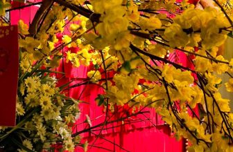 [☕️🇻🇳] Koilands Coffee 🥤 Top1Coffee ☕️ 𝑷𝒉𝒂̉𝒊 𝒄𝒉𝒂̆𝒏𝒈 𝒏𝒖̣ 𝒉𝒐𝒂 𝒎𝒖̀𝒂 𝒙𝒖𝒂̂𝒏 đ𝒂𝒏𝒈 𝒉𝒆́ 𝒏𝒐̛̉
𝑷𝒉𝒂̉𝒊 𝒄𝒉𝒂̆𝒏𝒈 𝒎𝒂̂̀𝒎 𝒏𝒐𝒏 𝒎𝒖̀𝒂 𝒙𝒖𝒂̂𝒏 đ𝒂𝒏𝒈 𝒉𝒆́ 𝒎𝒐̛̉                        𝑳𝒂̆́𝒏𝒈 𝒏𝒈𝒉 , shares-3✔️ , likes-9❤️️ , date-2024-02-03 14:42:35🇻🇳🇻🇳🇻🇳📰🆕