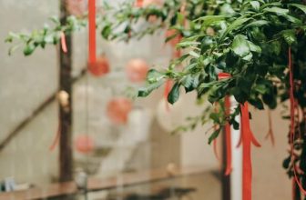 [☕️🇻🇳]  Danshari Coffee 🥤 Top1Coffee ☕️ Những sợi dây trang trí Mizuhiki tại khu vườn của Danshari mang hàm ý tốt đẹp là nguyện cầu cho tương lai tươi sáng.
⠀
Mời bạn c , shares-1✔️ , likes-17❤️️ , date-2024-02-04 06:19:01🇻🇳🇻🇳🇻🇳📰🆕