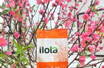 [☕️🇻🇳] ILOTA Coffee Roasters – Cafe rang xay 🥤 Top1Coffee ☕️ [ ILOTA CHÍNH THỨC NGHỈ TẾT 2024 ]𝐈𝐋𝐎𝐓𝐀 𝐂𝐨𝐟𝐟𝐞𝐞 𝐑𝐨𝐚𝐬𝐭𝐞𝐫 xin trân trọng thông báo đến Quý khách hàng:
– Ngày mai 07/1/2024 (tức , shares-0✔️ , likes-16❤️️ , date-2024-02-06 12:00:11🇻🇳🇻🇳🇻🇳📰🆕