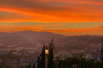[☕️🇻🇳] Ngày của Nắng Coffee+ 🥤 Top1Coffee ☕️  NẮNG  xin phép thông báo lịch nghỉ tết như sau:NẮNG sẽ hoạt động đến hết chiều 28 tết và sáng mồng 2 Tết NẮNG sẽ hoạt động  , shares-0✔️ , likes-14❤️️ , date-2024-02-08 05:20:11🇻🇳🇻🇳🇻🇳📰🆕