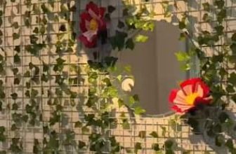 [☕️🇻🇳] Hạ An Corner – Trà – Bánh – Cafe – Piano 🥤 Top1Coffee ☕️ Cả nhà đã nấu bánh chưa
, shares-0✔️ , likes-0❤️️ , date-2024-02-07 14:37:46🇻🇳🇻🇳🇻🇳📰🆕