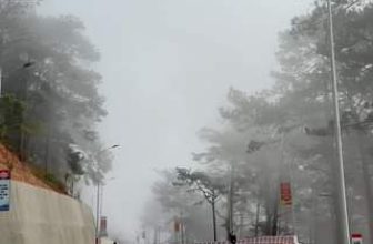 [☕️🇻🇳] Horizon Coffee – Đà Lạt 🥤 Top1Coffee ☕️ Lễ này mọi người đã có lịch đưa Gia Đình đi đâu chơi chưa? Nếu tới Đà Lạt mời bạn ghé thăm Horizon Cofee ngắm Đèo Pren nhé  #cof , shares-73✔️ , likes-86K❤️️ , date-2024-02-08 07:36:22🇻🇳🇻🇳🇻🇳📰🆕