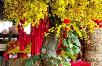 [☕️🇻🇳] Koilands Coffee 🥤 Top1Coffee ☕️ 𝐊𝐎𝐈𝐋𝐀𝐍𝐃𝐒 𝐂𝐎𝐅𝐅𝐄𝐄
13-24 𝑲𝒉𝒐̂̉𝒏𝒈 𝑻𝒖̛̉, 𝑩𝒊̀𝒏𝒉 𝑻𝒉𝒐̣, 𝑻𝒉𝒖̉ Đ𝒖̛́𝒄  𝐂𝐮𝐧𝐠 𝐜𝐡𝐮́𝐜 𝐭𝐚̂𝐧 𝐱𝐮𝐚̂𝐧 𝟐𝟎𝟐𝟒
𝑪𝒉𝒖́𝒄 𝒒𝒖𝒚́ 𝒌𝒉𝒂́𝒄𝒉 𝒎𝒐̣̂𝒕 𝒏𝒂̆𝒎 𝒂𝒏 𝒌𝒉𝒂𝒏𝒈,  , shares-3✔️ , likes-14❤️️ , date-2024-02-10 01:30:39🇻🇳🇻🇳🇻🇳📰🆕