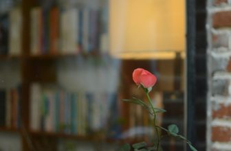 [☕️🇻🇳] PHD Book – Coffee 🥤 Top1Coffee ☕️ Cũng nương theo những ngày nắng ráo, mọi thứ đã sạch sẽ, thơm mát.
, shares-0✔️ , likes-47❤️️ , date-2024-02-08 03:50:42🇻🇳🇻🇳🇻🇳📰🆕