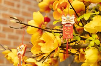 [☕️🇻🇳] DoveZi Coffee 🥤 Top1Coffee ☕️  , shares-0✔️ , likes-10❤️️ , date-2024-02-07 04:26:42🇻🇳🇻🇳🇻🇳📰🆕