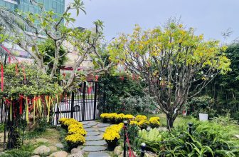 [☕️🇻🇳]  Minh Coffee 🥤 Top1Coffee ☕️ Minh Coffee đã sẳn sàng chào đón những vị khách Xông đất đầu tiên năm Giáp Thìn 2024 vào ngày mai (Mồng 4 âm lịch)
, shares-2✔️ , likes-35❤️️ , date-2024-02-12 09:29:50🇻🇳🇻🇳🇻🇳📰🆕