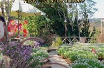 [☕️🇻🇳] Ngày của Nắng Coffee+ 🥤 Top1Coffee ☕️ Ta có hẹn nhau vào một ngày chill! #Ngaycuanang #Nangcaphe #ngaycuanangcoffee #Quancapheviewdep #ngamhoanghon #capheviewdep #Dal , shares-0✔️ , likes-0❤️️ , date-2024-03-15 02:15:08🇻🇳🇻🇳🇻🇳📰🆕