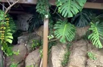 [☕️🇻🇳] LLightroom Coffee 🥤 Top1Coffee ☕️ Hoa giấy Lightroom 2024
, shares-0✔️ , likes-14❤️️ , date-2024-02-28 06:02:20🇻🇳🇻🇳🇻🇳📰🆕