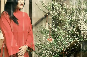 [☕️🇻🇳]  Danshari Coffee 🥤 Top1Coffee ☕️ Chạm nhẹ một cái, TẾT cái đùngLịch mở cửa dịp Tết Giáp Thìn 2024
09/02/24 (Giao thừa) – 17/02/24 (Mùng 8): đóng cửa
18/02/2 , shares-0✔️ , likes-32❤️️ , date-2024-02-09 11:37:42🇻🇳🇻🇳🇻🇳📰🆕