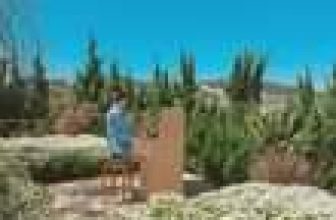 [☕️🇻🇳] Ngày của Nắng Coffee+ 🥤 Top1Coffee ☕️ Nắng vừa phải, gió vừa đủ
Vừa vặn bình yên: Trang Thư Trần, Nguyễn Thanh Thảo!
——————
𝗡𝗚𝗔̀𝗬 𝗖𝗨̉𝗔 𝗡𝗔̆́𝗡𝗚 𝗖𝗢𝗙𝗙𝗘 , shares-3✔️ , likes-43❤️️ , date-2024-02-18 02:36:08🇻🇳🇻🇳🇻🇳📰🆕