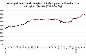 [☕️🇻🇳] ILOTA Coffee Roasters – Cafe rang xay 🥤 Top1Coffee ☕️ 𝐗𝐮𝐚̂́𝐭 𝐤𝐡𝐚̂̉𝐮 𝐜𝐚̀ 𝐩𝐡𝐞̂ 𝐜𝐚𝐨 𝐤𝐲̉ 𝐥𝐮̣𝐜, 𝐠𝐢𝐚́ 𝐭𝐫𝐨𝐧𝐠 𝐧𝐮̛𝐨̛́𝐜 𝐯𝐮̛𝐨̛̣𝐭 đ𝐢̉𝐧𝐡 𝟖𝟑.𝟎𝟎𝟎 đ𝐨̂̀𝐧𝐠/𝐤𝐠!Giá cà phê trong nước vượt 83.000 đồng/ , shares-0✔️ , likes-18❤️️ , date-2024-02-23 03:23:37🇻🇳🇻🇳🇻🇳📰🆕