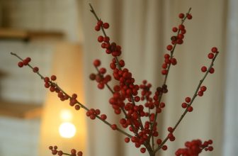 [☕️🇻🇳] PHD Book – Coffee 🥤 Top1Coffee ☕️ “Chị ơi, chị đừng tăng giá nữa, tụi em hết tiền rồi” mấy bạn khách quen từ những ngày cấp 3- giờ đã là sinh viên nói với đồng ng , shares-0✔️ , likes-80❤️️ , date-2024-02-20 05:37:09🇻🇳🇻🇳🇻🇳📰🆕