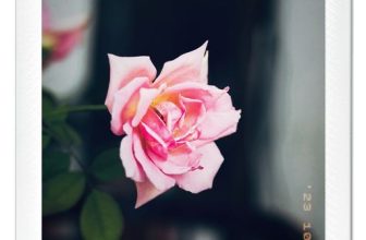 [☕️🇻🇳] Cố Thời Coffee 🥤 Top1Coffee ☕️ Today and every day, may you be surrounded by love, respect, and appreciation. Happy Women’s Day! —————
Cố Thời Coffee
145/6 Ng , shares-0✔️ , likes-3❤️️ , date-2024-03-08 00:38:43🇻🇳🇻🇳🇻🇳📰🆕