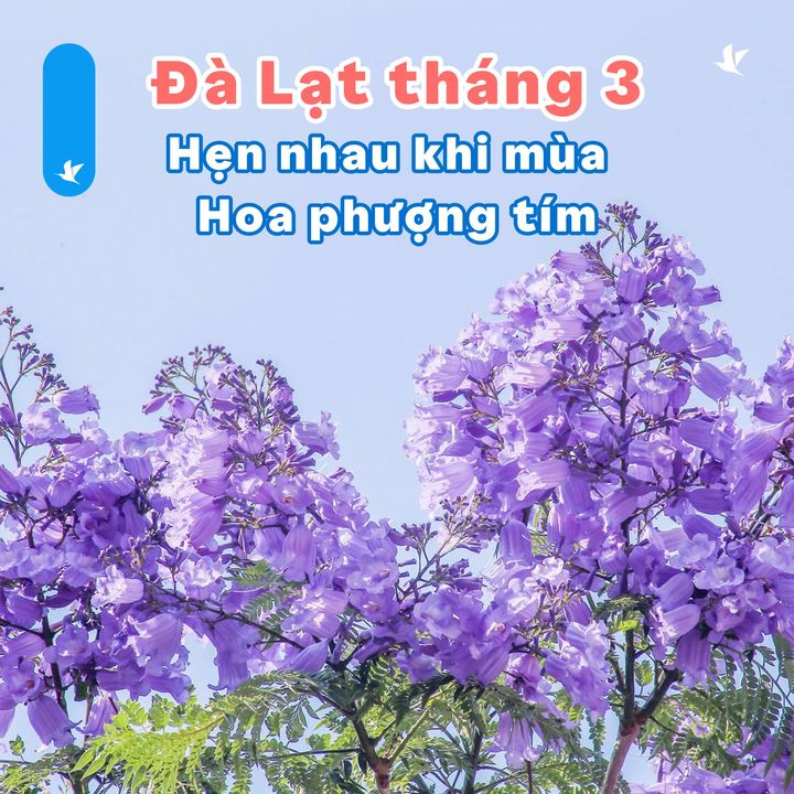 [🆕🇻🇳] Run Navy là thương hiệu Đồ tập Gym Yoga cao cấp 👕 Top1Fashion 👗  #Góc_feedback cực cool của cô nàng gymmer trong set Deep Blue UltraSoft. Hè sắp tới rồi độ mềm nhẹ thoải mái và siêu tôn dáng hứa hẹn khiến em nó trở thành , shares-1✔️ , likes-10❤️️ , date-2024-03-07 12:00:24🇻🇳🇻🇳🇻🇳📰🆕