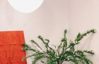 [☕️🇻🇳] The Comma coffee 🥤 Top1Coffee ☕️ Chào tháng 3 – Tháng của Comma. Sắp tới sinh nhật 5 Tuổi của tụi mình rồi , tụi mình có nhiều điều bất ngờ trong tháng này lắm,  , shares-0✔️ , likes-6❤️️ , date-2024-03-02 15:19:42🇻🇳🇻🇳🇻🇳📰🆕