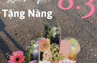 [☕️🇻🇳] Hemo Coffee – Bến Tre 🥤 Top1Coffee ☕️ 𝐇𝐎𝐀 𝐍𝐔̛𝐎̛́𝐂 𝐗𝐈𝐍𝐇 𝐘𝐄̂𝐔 𝐆𝐔̛̉𝐈 𝐍𝐆𝐔̛𝐎̛̀𝐈 𝐓𝐑𝐀̂𝐍 𝐐𝐔𝐘́!
𝟎𝟖.𝟎𝟑 𝐧𝐚̀𝐲, 𝐇𝐄𝐌𝐎 𝐜𝐨́ 𝐓𝐫𝐚̀ & 𝐇𝐨𝐚 𝐱𝐢𝐧𝐡 𝐜𝐡𝐢̉ 𝟏𝟏𝟗𝐤 ( đã bao gồm nước)Vì em xứng , shares-6✔️ , likes-65❤️️ , date-2024-03-05 10:23:13🇻🇳🇻🇳🇻🇳📰🆕