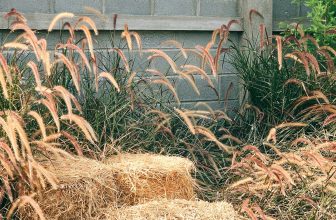 [☕️🇻🇳] 𝐋𝐚 𝐑𝐞̂𝐯𝐞𝐮𝐬𝐞🥤 Top1Coffee ☕️ Happy to here…
#mơ
Hạnh phúc đến nơi đây…
#mơĐược dịch từ Tiếng Anh
, shares-1✔️ , likes-129❤️️ , date-2024-03-06 13:36:50🇻🇳🇻🇳🇻🇳📰🆕