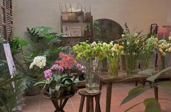 [☕️🇻🇳] Charm Coffee 🥤 Top1Coffee ☕️ Quán chúng mình có thêm 1 tiệm hoa xinh…
🩷
Charm Coffee : ngõ 20 Láng Hạ, Đống Đa,HN
Opening hours: 07 am- 22h00 pm
, shares-0✔️ , likes-15❤️️ , date-2024-03-04 06:13:19🇻🇳🇻🇳🇻🇳📰🆕