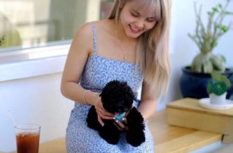 [☕️🇻🇳]  Danshari Coffee 🥤 Top1Coffee ☕️ HAPPY INTERNATIONAL WOMEN’s DAY to all the extraordinary out there !
____
Chúc mừng ngày 8/3 những người phụ nữ yêu quý của DAN , shares-0✔️ , likes-22❤️️ , date-2024-03-08 09:29:03🇻🇳🇻🇳🇻🇳📰🆕