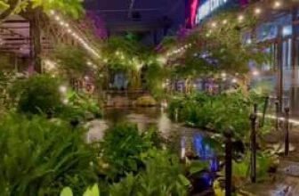 [☕️🇻🇳]  Minh Coffee 🥤 Top1Coffee ☕️ Những nâng cấp nhẹ âm thanh, ánh sáng cho khu rừng nhỏ Minh Coffee luôn xanh, sạch sẽ, gọn gàng, và trải nghiệm.
Lan toả đam m , shares-0✔️ , likes-35❤️️ , date-2024-03-10 12:20:05🇻🇳🇻🇳🇻🇳📰🆕