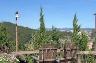 [☕️🇻🇳] Ngày của Nắng Coffee+ 🥤 Top1Coffee ☕️ Anh đắm say em vậy, có làm phiền em không? #Ngaycuanang #Nangcaphe #ngaycuanangcoffee #Quancapheviewdep #ngamhoanghon #capheview , shares-0✔️ , likes-0❤️️ , date-2024-03-14 07:06:28🇻🇳🇻🇳🇻🇳📰🆕