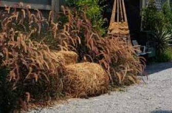 [☕️🇻🇳] 𝐋𝐚 𝐑𝐞̂𝐯𝐞𝐮𝐬𝐞🥤 Top1Coffee ☕️ “Tôi không thể ngăn gió đi xa, cũng không thể giữ được cả bầu trời.”
Trích “Chúng ta sinh ra là để hạnh phúc”
nhungdieubinhyen , shares-0✔️ , likes-0❤️️ , date-2024-03-13 06:18:17🇻🇳🇻🇳🇻🇳📰🆕