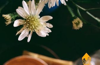 [☕️🇻🇳] Root Coffee Roastery 🥤 Top1Coffee ☕️  Một Tối 8/3 Ý Nghĩa và Tràn Ngập Hương Vị tại Root Coffee Roastery-43 Ngô Quyền, T.p HuếTrong không gian ấm cúng, dưới ánh đ , shares-2✔️ , likes-11❤️️ , date-2024-03-08 07:01:56🇻🇳🇻🇳🇻🇳📰🆕