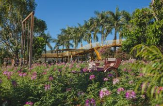 [☕️🇻🇳] Mê Linh Coffee Garden 🥤 Top1Coffee ☕️ Có những nơi đẹp không cần filter
Nắng của mặt trời – gió của trời – còn cảnh đẹp là của 𝐌𝐞̂ 𝐋𝐢𝐧𝐡 𝐂𝐨𝐟𝐟𝐞𝐞 𝐆𝐚𝐫𝐝𝐞𝐧
—
𝐌𝐞̂ 𝐋 , shares-5✔️ , likes-42❤️️ , date-2024-03-11 02:07:11🇻🇳🇻🇳🇻🇳📰🆕