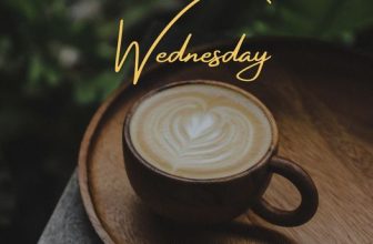 [☕️🇻🇳] Coffee Red 🥤 Top1Coffee ☕️ Bắt đầu ngày mới tràn đầy năng lượng cùng 1 tách coffee thơm ngon tại Red nào cả nhà ơi !
#Coffee,#redcoffee,#milkcoffee
, shares-0✔️ , likes-5❤️️ , date-2024-03-13 01:57:35🇻🇳🇻🇳🇻🇳📰🆕