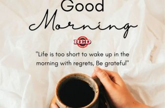 [☕️🇻🇳] Coffee Red 🥤 Top1Coffee ☕️ Buổi sáng, khi ánh nắng mềm mại len lỏi qua cửa sổ, không gì tuyệt vời hơn là thưởng thức một tách cafe nóng, thơm ngát.Dòng  , shares-0✔️ , likes-5❤️️ , date-2024-03-11 08:45:37🇻🇳🇻🇳🇻🇳📰🆕