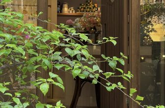 [☕️🇻🇳] Charm Coffee 🥤 Top1Coffee ☕️ Trước kia, tớ loay hoay để cố gắng được hạnh phúc. Nay tớ nhận ra chỉ cần mình sống hoà thuận với cảnh huống, mình dễ chịu với n , shares-1✔️ , likes-14❤️️ , date-2024-03-12 02:47:04🇻🇳🇻🇳🇻🇳📰🆕