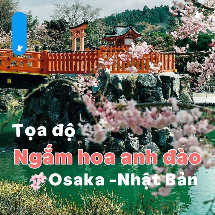 [✈🇻🇳] Traveloka Vietnam – Sống Trải Nghiệm ✈ Top1Travel 🌏 – #TravelokaKhamPha  Địa điểm ngắm hoa anh đào cực đẹp ở Osaka nhất định ghé t …