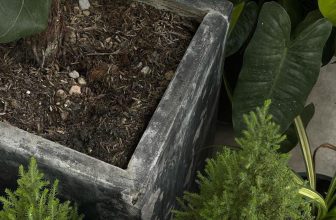 [☕️🇻🇳] Deadline Coffee 🥤 Top1Coffee ☕️ Những ngày nắng mềmĐI“Mỗi một ngày thức dậy
Tôi hiểu mình phải đi
Qua cánh rừng sâu thẳm
Qua nội cỏ thầm thì…”————————— , shares-0✔️ , likes-11❤️️ , date-2024-03-17 08:39:09🇻🇳🇻🇳🇻🇳📰🆕