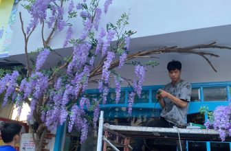 [☕️🇻🇳]  Leha’s Home  🥤 Top1Coffee ☕️ Những ngày tất bật trang trí hoàn thiện công trình bàn giao cho khách .
, shares-0✔️ , likes-0❤️️ , date-2024-03-30 13:54:26🇻🇳🇻🇳🇻🇳📰🆕