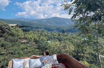 [☕️🇻🇳] Mê Linh Coffee Garden 🥤 Top1Coffee ☕️ Có những bạn đi Đà Lạt chỉ thích rủ nhau hẹn hò cà phê chuyện trò và healing buổi sáng mát lành giữa thiên nhiên– Sáng nay tr , shares-2✔️ , likes-34❤️️ , date-2024-03-18 02:20:47🇻🇳🇻🇳🇻🇳📰🆕